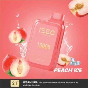 ISGO Bar 10000 Puffs Disposables Vape - Blueberry Ice