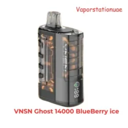 Buy VNSN Ghost 15000 Puffs Blueberry ice