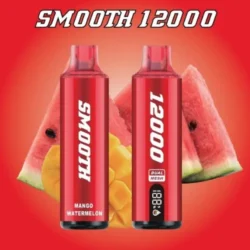 Smooth 12000 Mango Watermelon Disposable Vape in Dubai