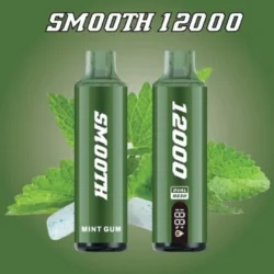 Smooth 12000 Mint gum Disposable Vape in Dubai